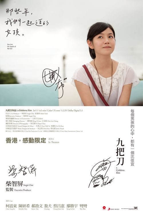 怎么买捷克共和国驾驶执照